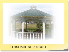 FOISOARE SI PERGOLE