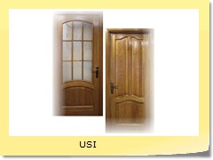 USI